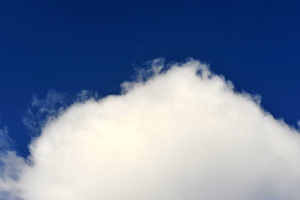 1122 sakoube 7 DSC_7428.jpg